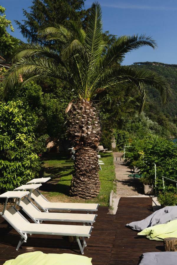 Hotel La Culla Del Lago Castel Gandolfo Dış mekan fotoğraf